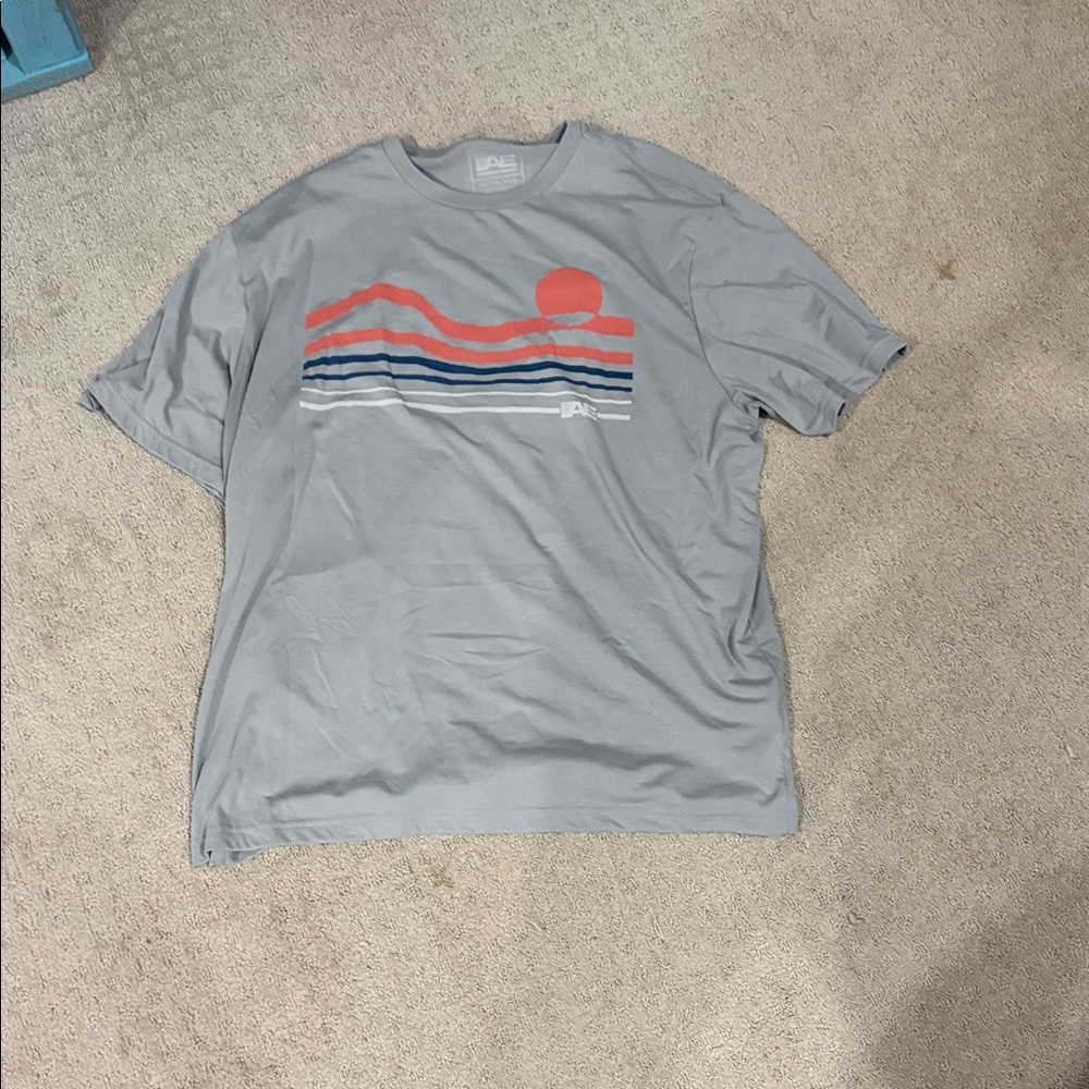 American Eagle Outfitters Gray Tee with Sunset Graphic